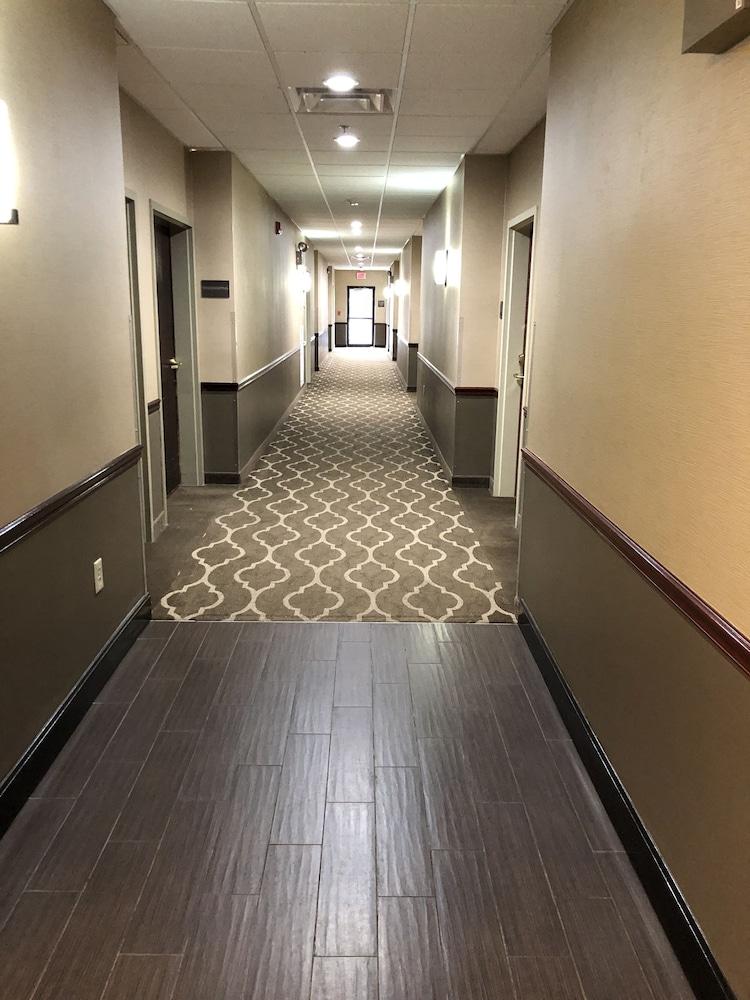 Comfort Inn & Suites Lawrenceburg Buitenkant foto